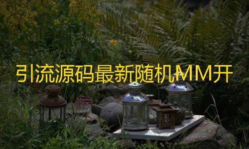 和平精英透视辅助器(免费)引流源码最新随机MM开源版PHP源码